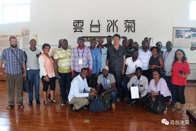 目測這朵菊花要火，國外專家為它頻頻而來······